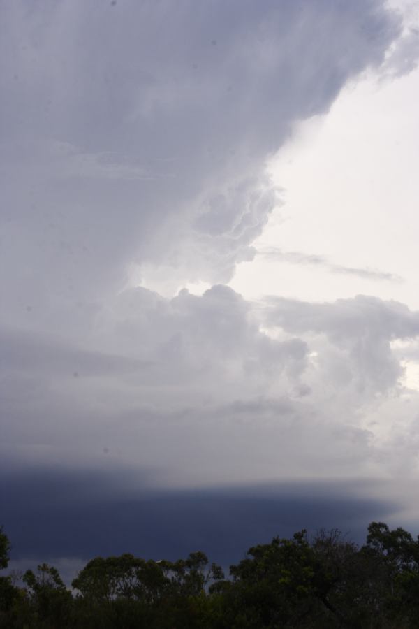 cumulonimbus thunderstorm_base : near Heathcote, NSW   1 March 2007