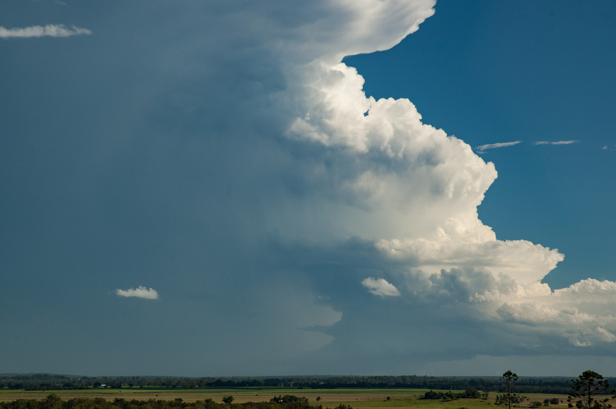 inflowband thunderstorm_inflow_band : Parrots Nest, NSW   2 March 2007