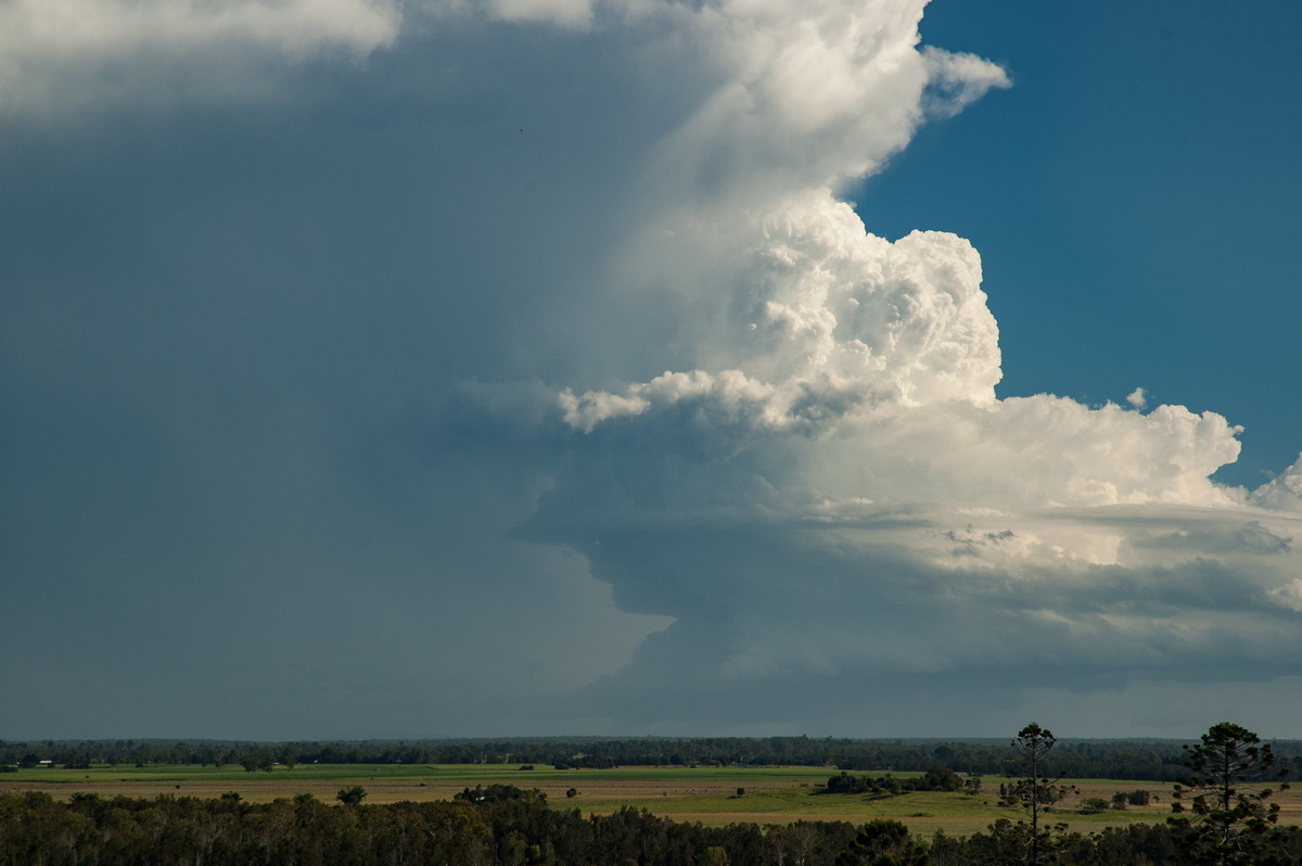 cumulonimbus supercell_thunderstorm : Parrots Nest, NSW   2 March 2007