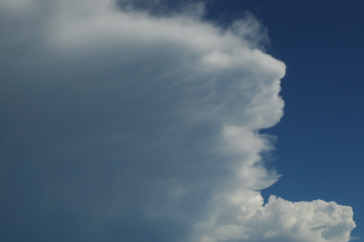 anvil thunderstorm_anvils : Parrots Nest, NSW   2 March 2007