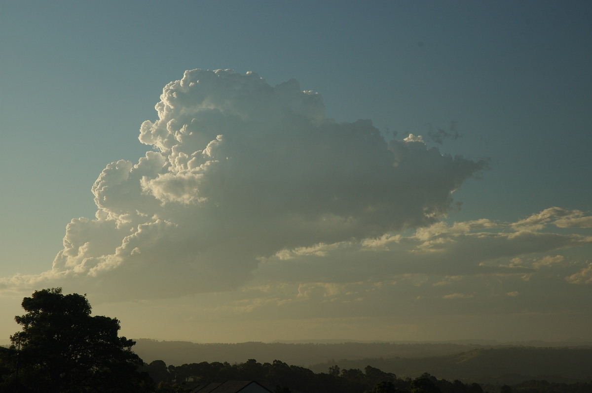 cumulus congestus : McLeans Ridges, NSW   2 March 2007