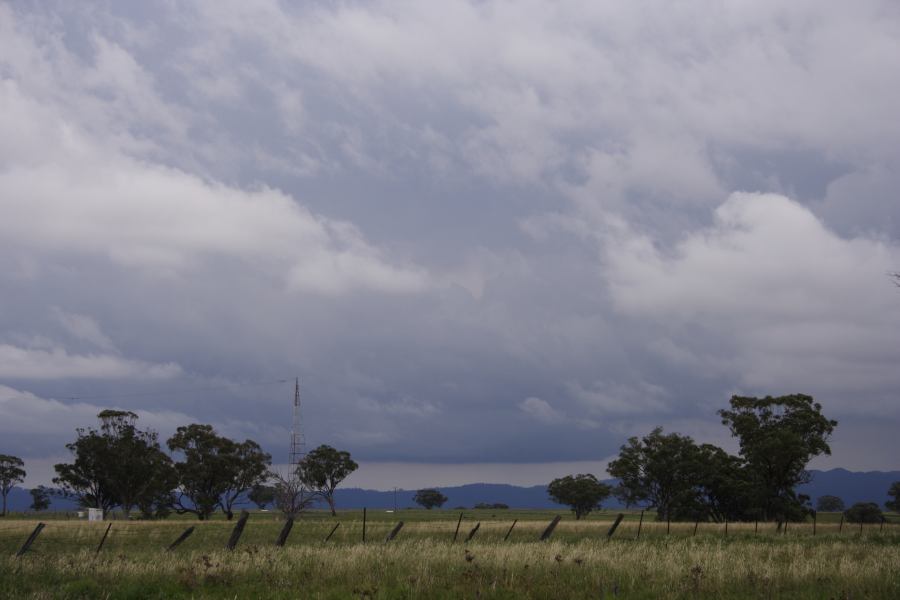 cumulus humilis : Coonabarabran, NSW   5 March 2007