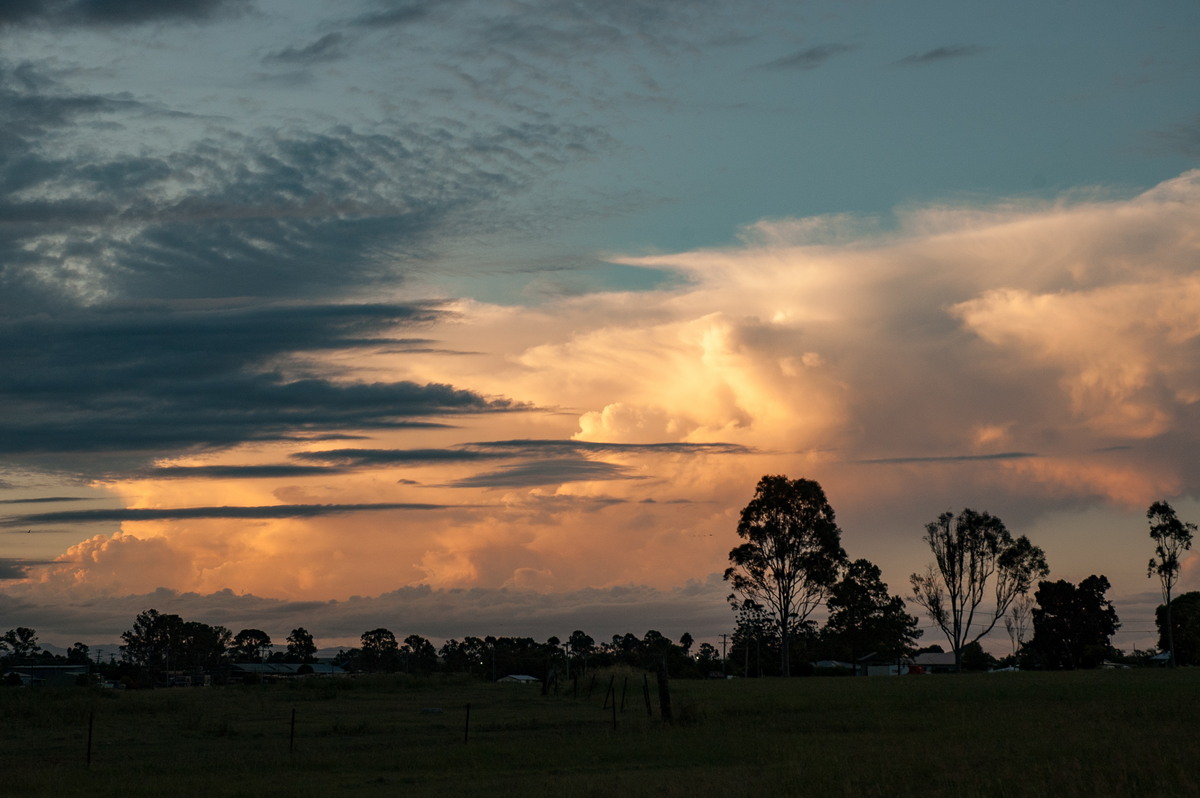 sunset sunset_pictures : Casino, NSW   5 March 2007