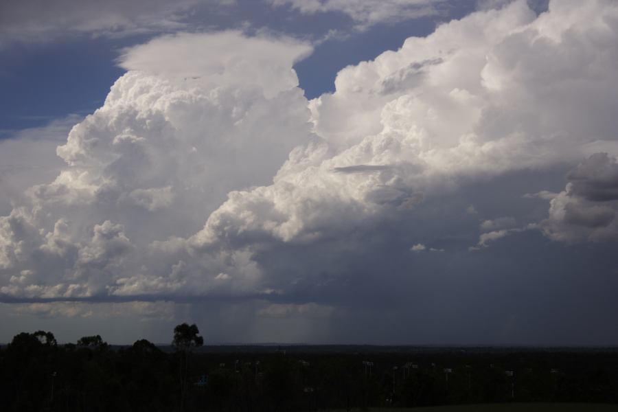 pileus pileus_cap_cloud : Rooty Hill, NSW   8 March 2007