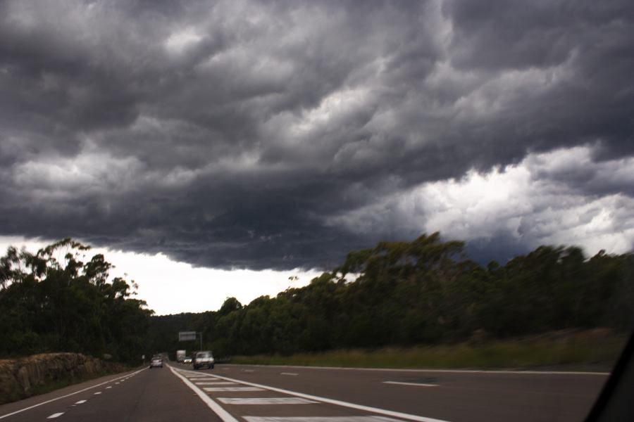 cumulonimbus thunderstorm_base : near Heathcote, NSW   8 March 2007