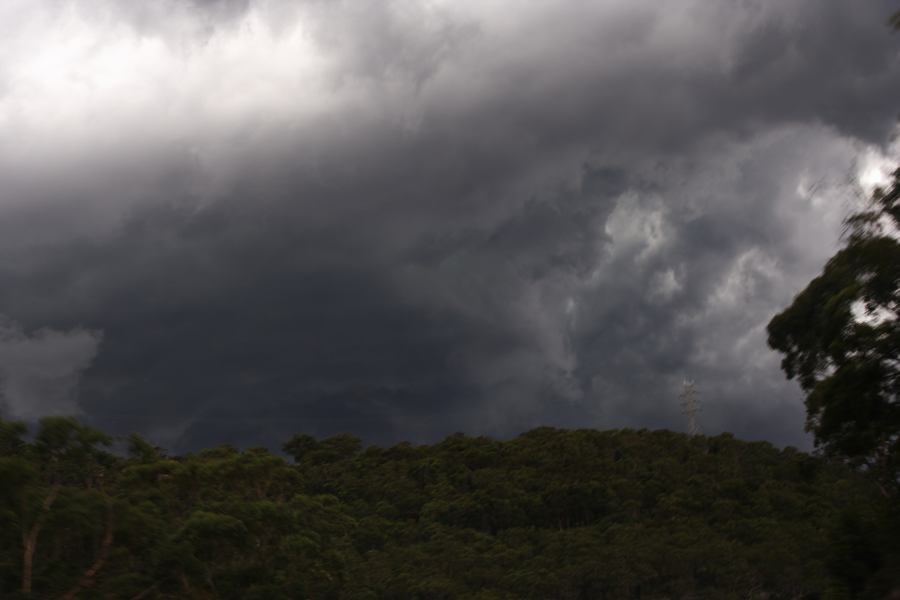 cumulonimbus thunderstorm_base : near Engadine, NSW   8 March 2007