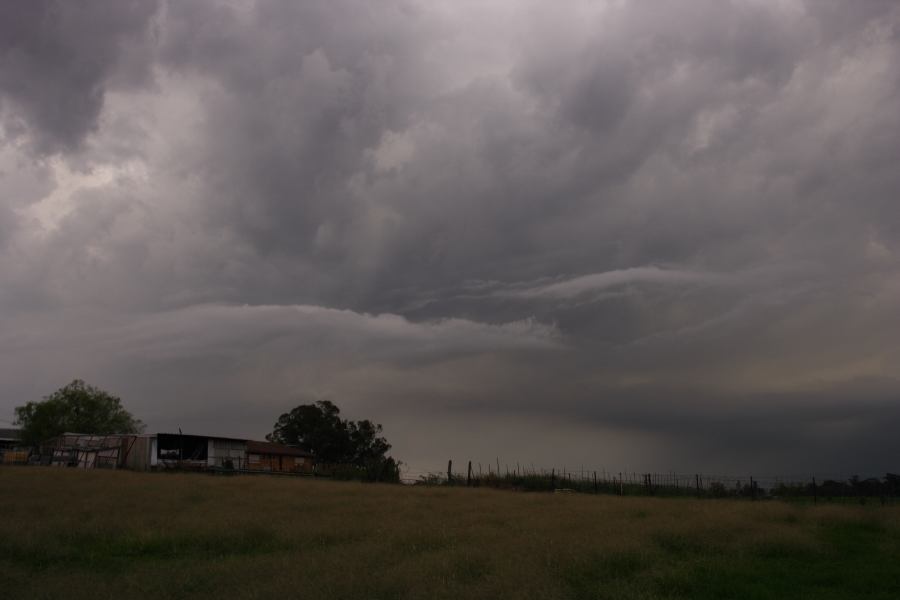 cumulonimbus thunderstorm_base : Schofields, NSW   20 March 2007