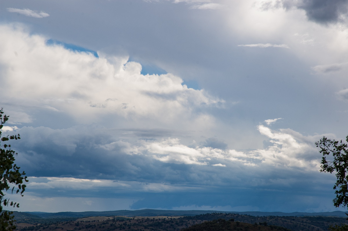 cumulonimbus thunderstorm_base : W of Tenterfield, NSW   25 March 2007