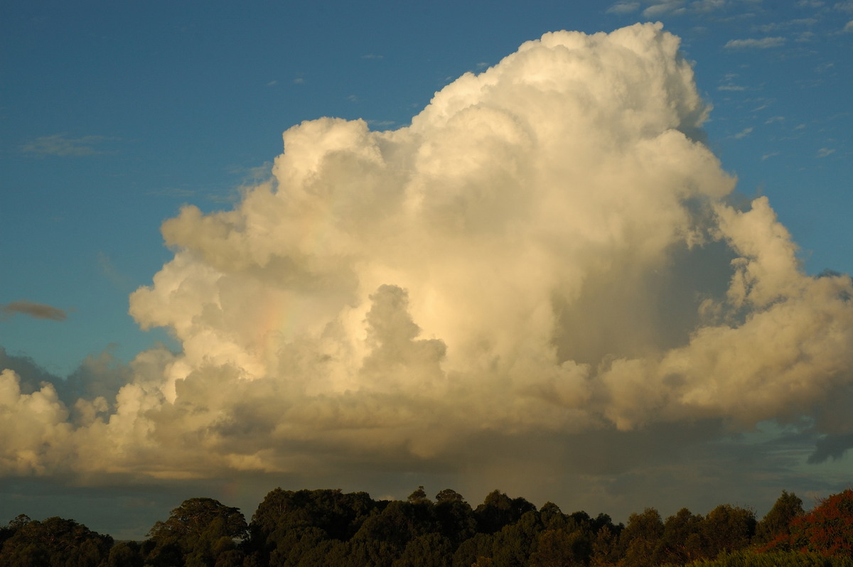 cumulus congestus : McLeans Ridges, NSW   4 April 2007
