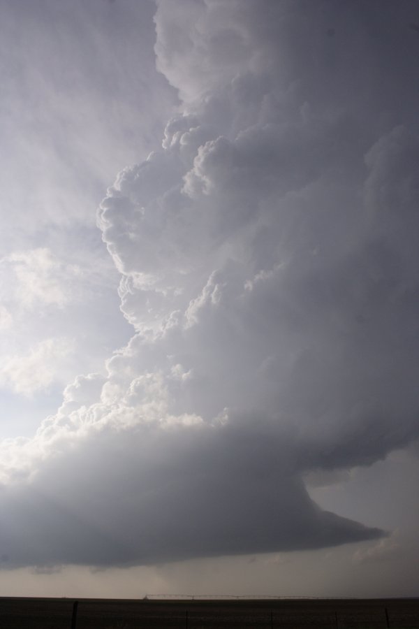 cumulonimbus supercell_thunderstorm : S of White Deer, Texas, USA   23 April 2007
