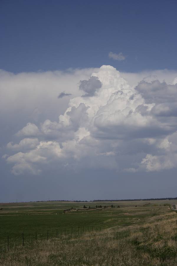cumulus congestus : N of Newcastle, Wyoming, USA   18 May 2007