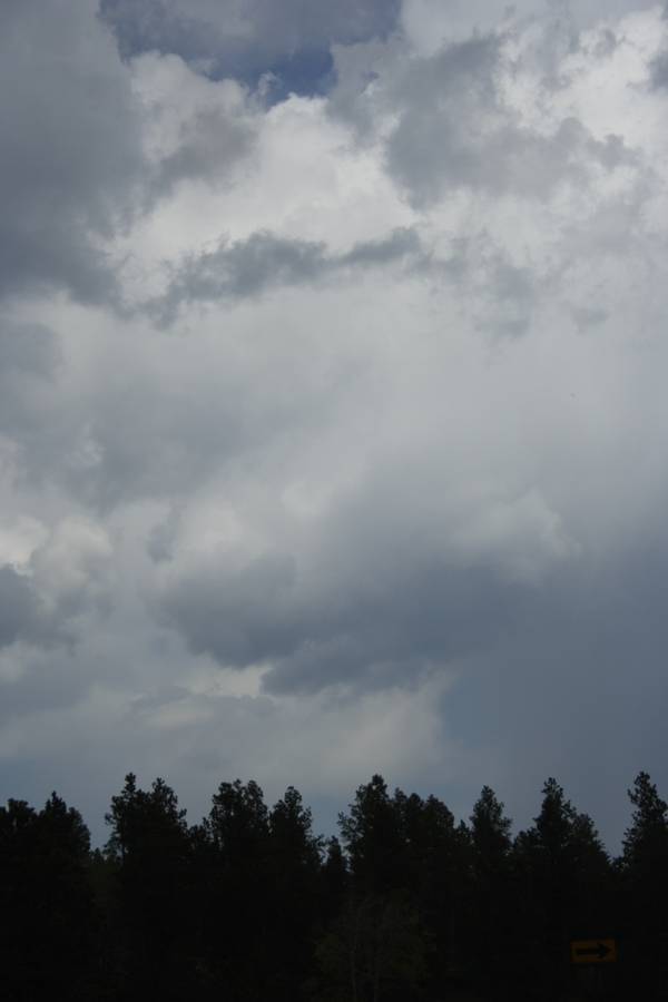 cumulonimbus thunderstorm_base : Black Hills, South Dakota, USA   18 May 2007