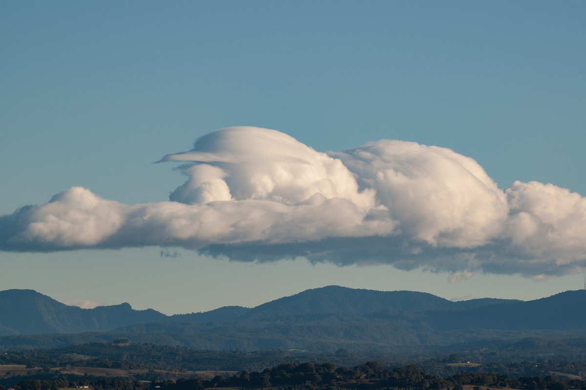 pileus pileus_cap_cloud : McLeans Ridges, NSW   19 June 2007