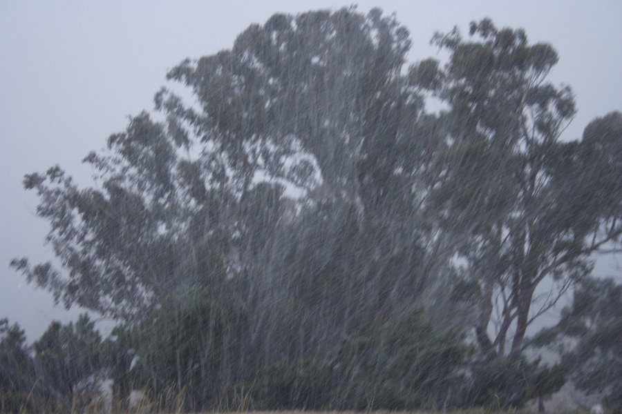 precipitation precipitation_rain : Oberon, NSW   5 July 2007