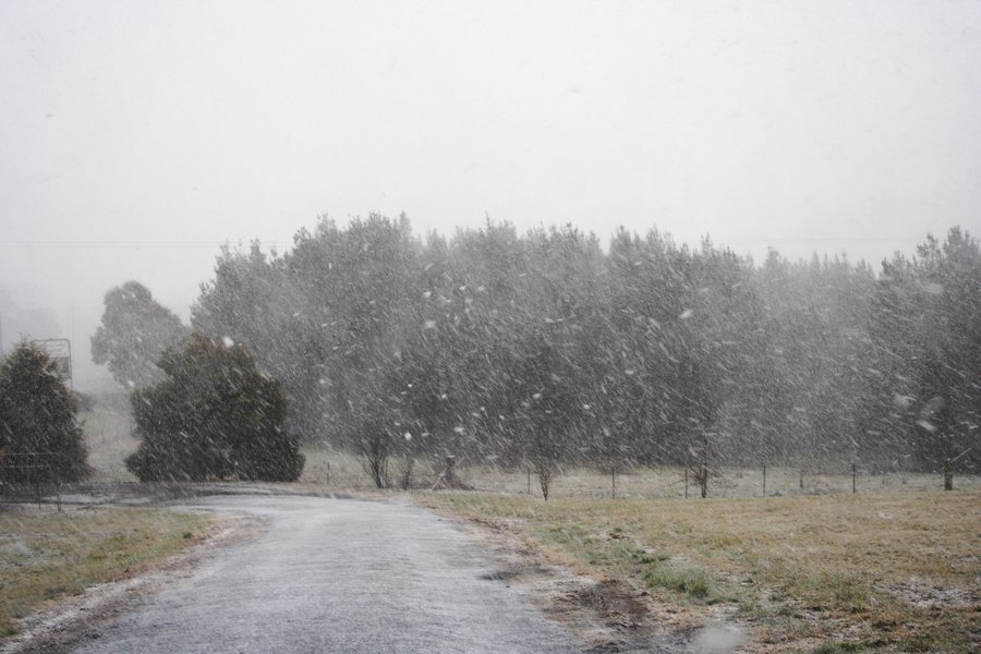snow snow_pictures : Oberon, NSW   5 July 2007