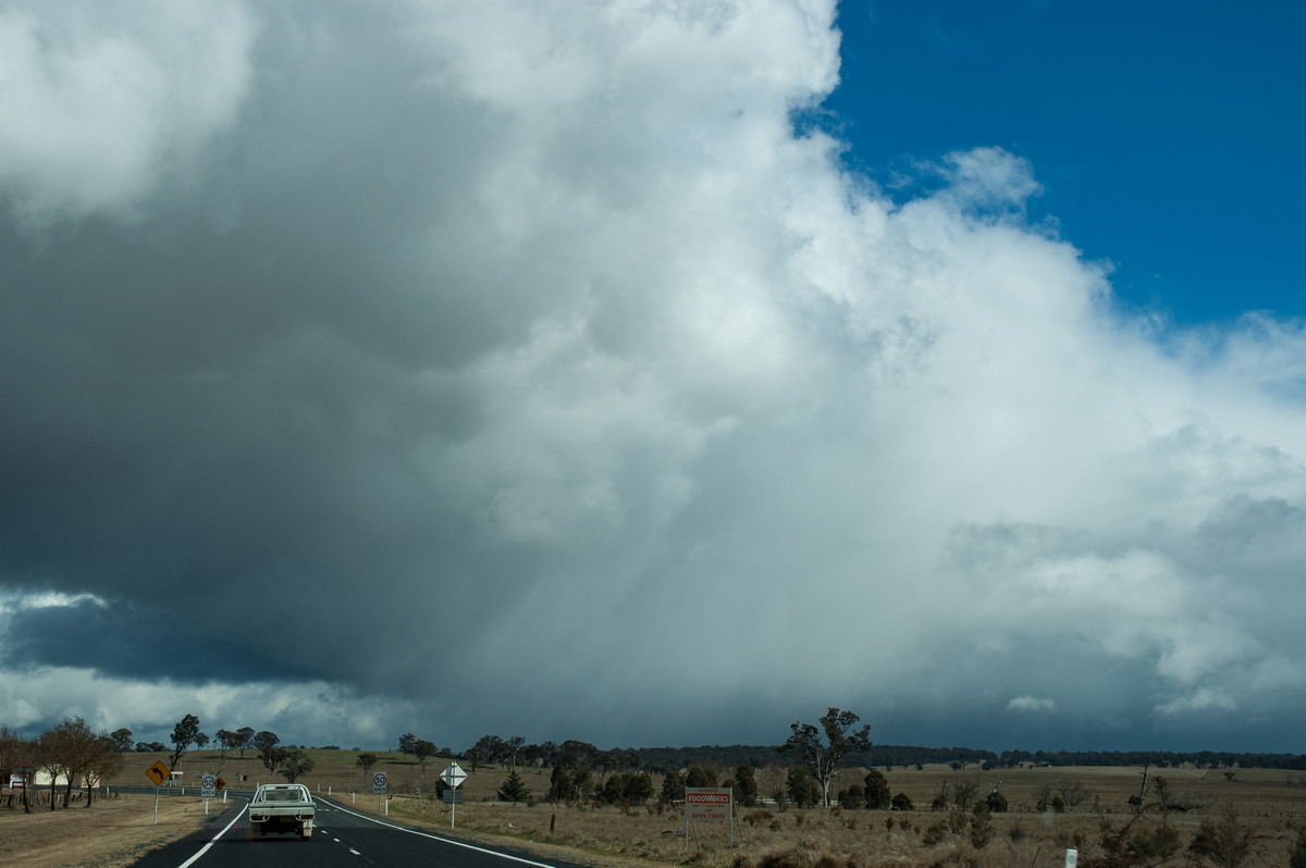 cumulus congestus : near Glen Innes, NSW   8 July 2007