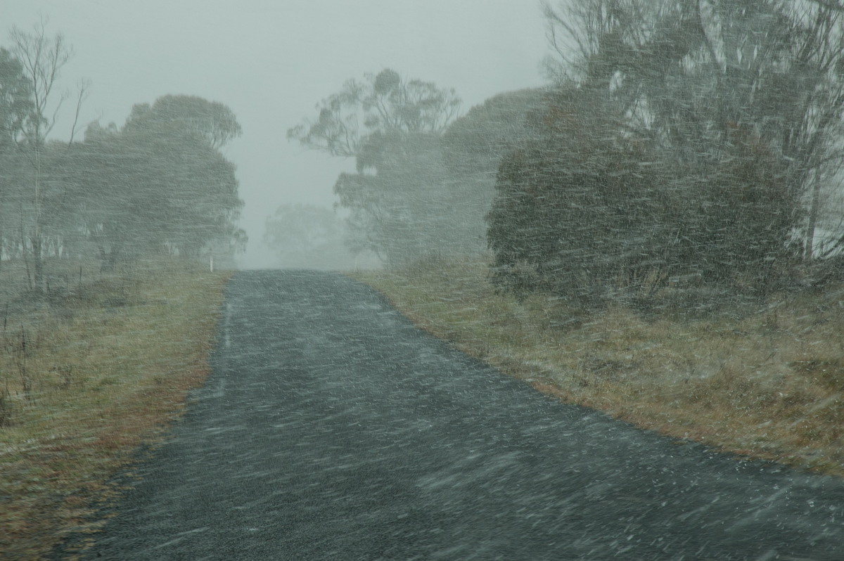precipitation precipitation_rain : Ben Lomond, NSW   8 July 2007