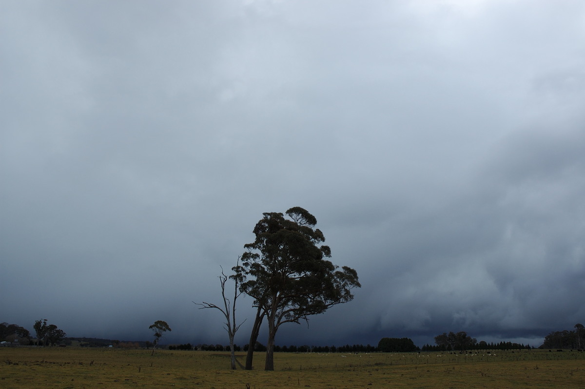 cumulonimbus thunderstorm_base : near Ben Lomond, NSW   8 July 2007