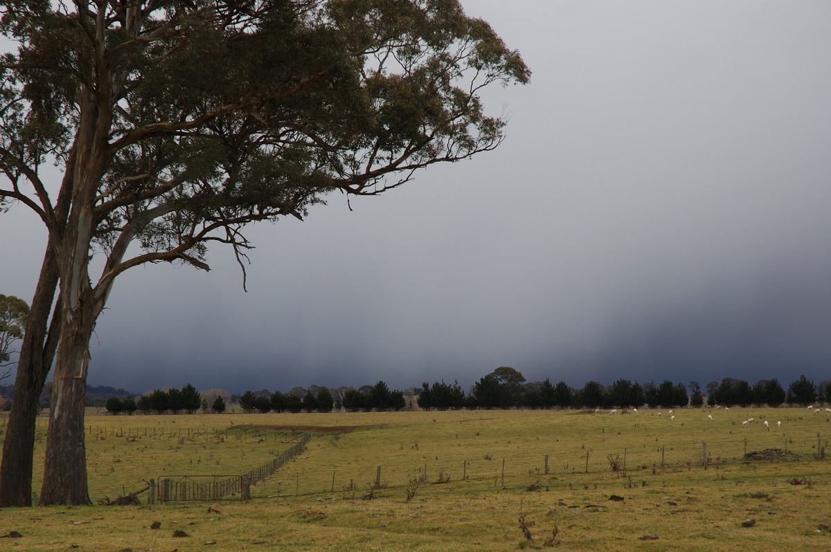 cumulonimbus thunderstorm_base : near Ben Lomond, NSW   8 July 2007