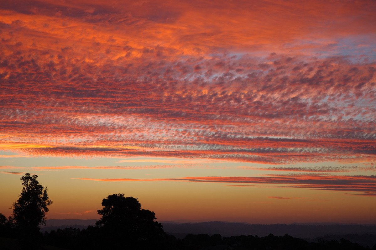 sunset sunset_pictures : McLeans Ridges, NSW   1 August 2007