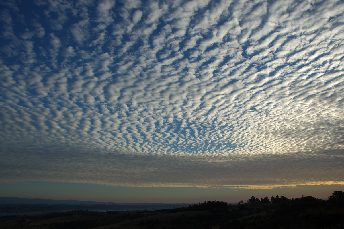 altocumulus mackerel_sky : McLeans Ridges, NSW   2 August 2007