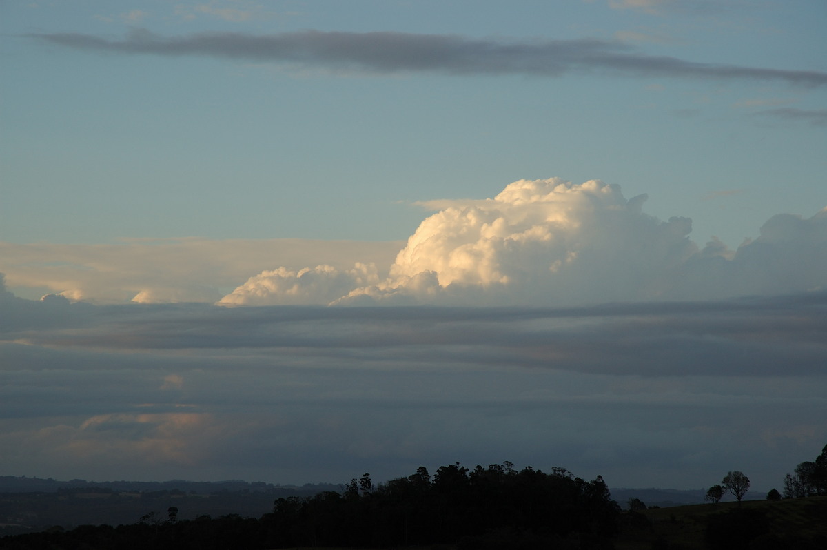 cumulus congestus : McLeans Ridges, NSW   14 August 2007