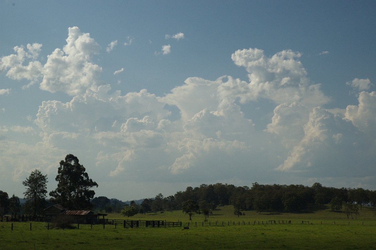 cumulus congestus : near Kyogle, NSW   6 October 2007