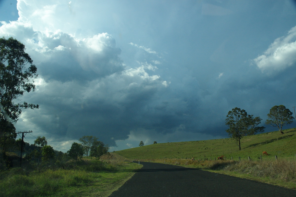 cumulonimbus thunderstorm_base : Border Ranges, NSW   6 October 2007