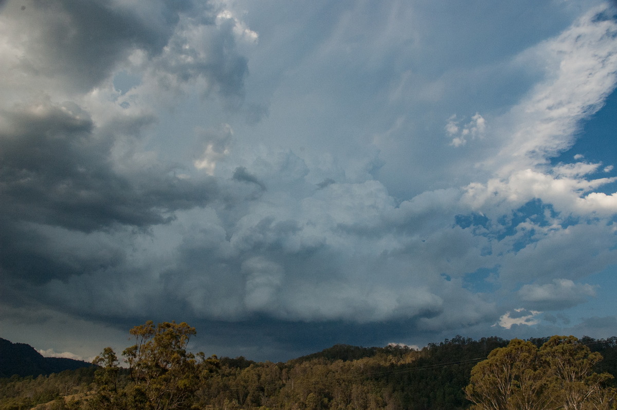 cumulonimbus thunderstorm_base : Border Ranges, NSW   6 October 2007