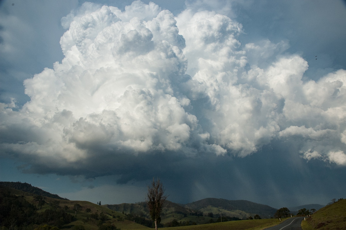 updraft thunderstorm_updrafts : Border Ranges, NSW   6 October 2007