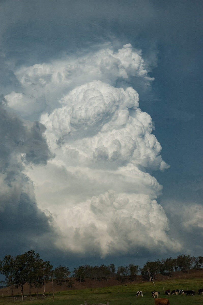 updraft thunderstorm_updrafts : near Rathdowney, QLD   6 October 2007