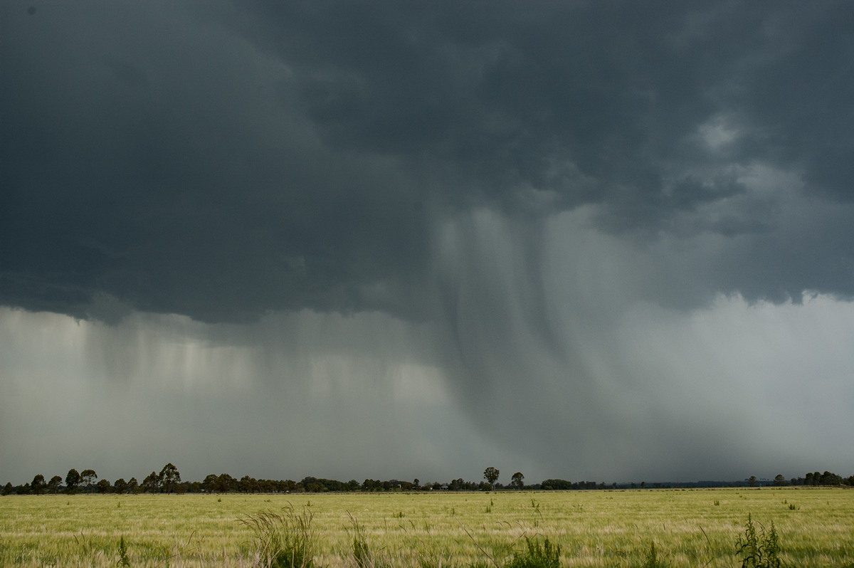 raincascade precipitation_cascade : N of Casino, NSW   7 October 2007