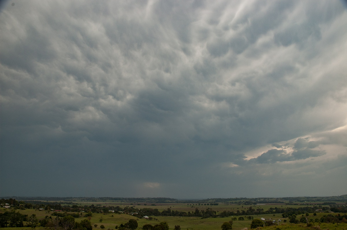 mammatus mammatus_cloud : Wyrallah, NSW   8 October 2007