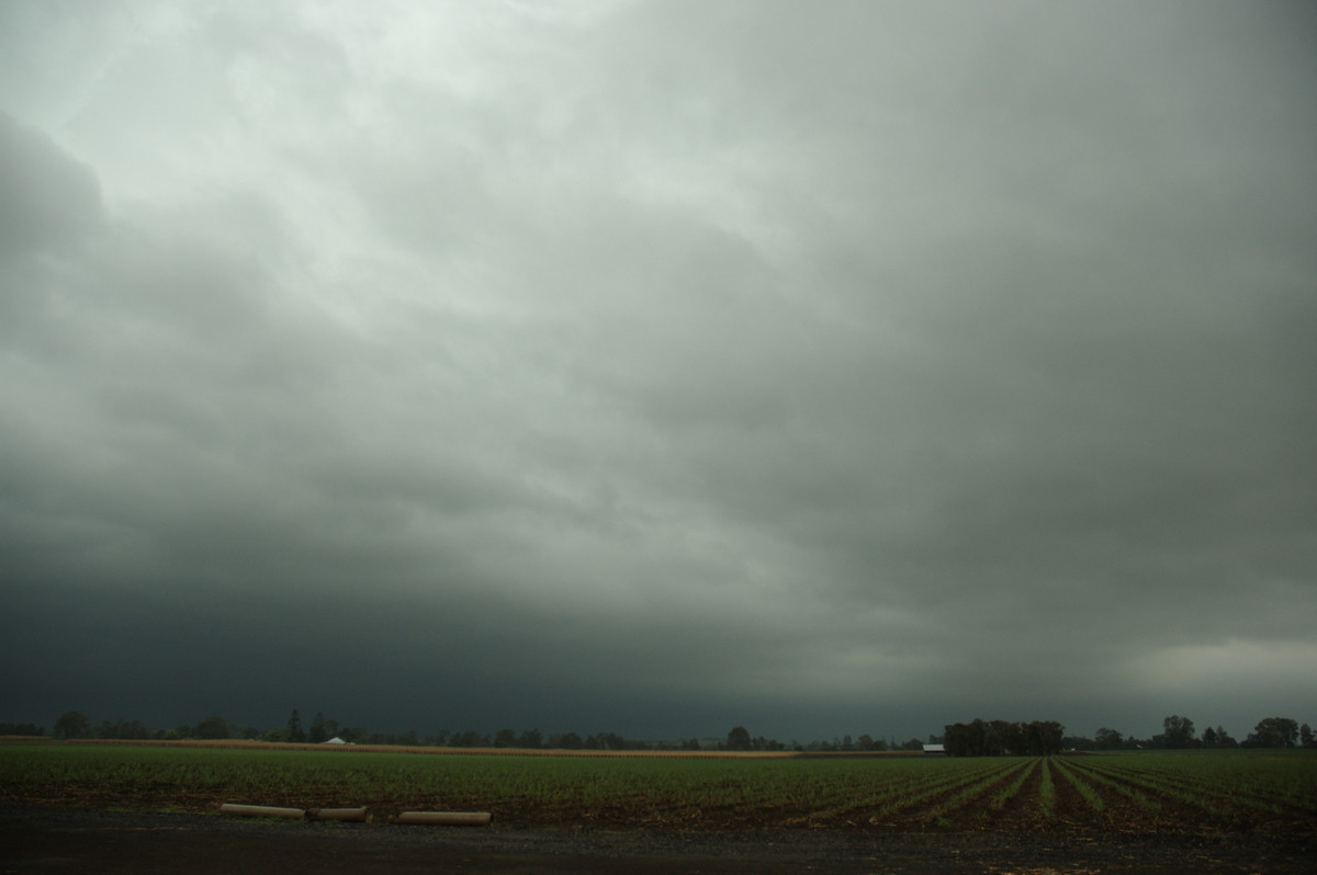 stratus stratus_cloud : near Coraki, NSW   8 October 2007