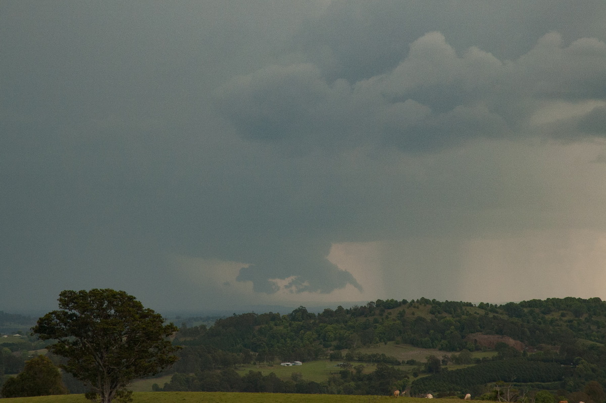 cumulonimbus thunderstorm_base : Tregeagle, NSW   9 October 2007