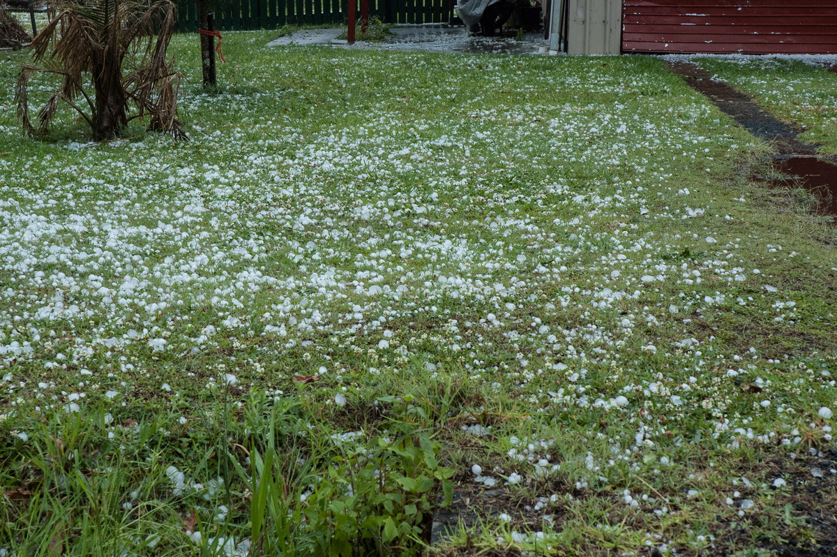 hailstones hail_stones : South Lismore, NSW   9 October 2007