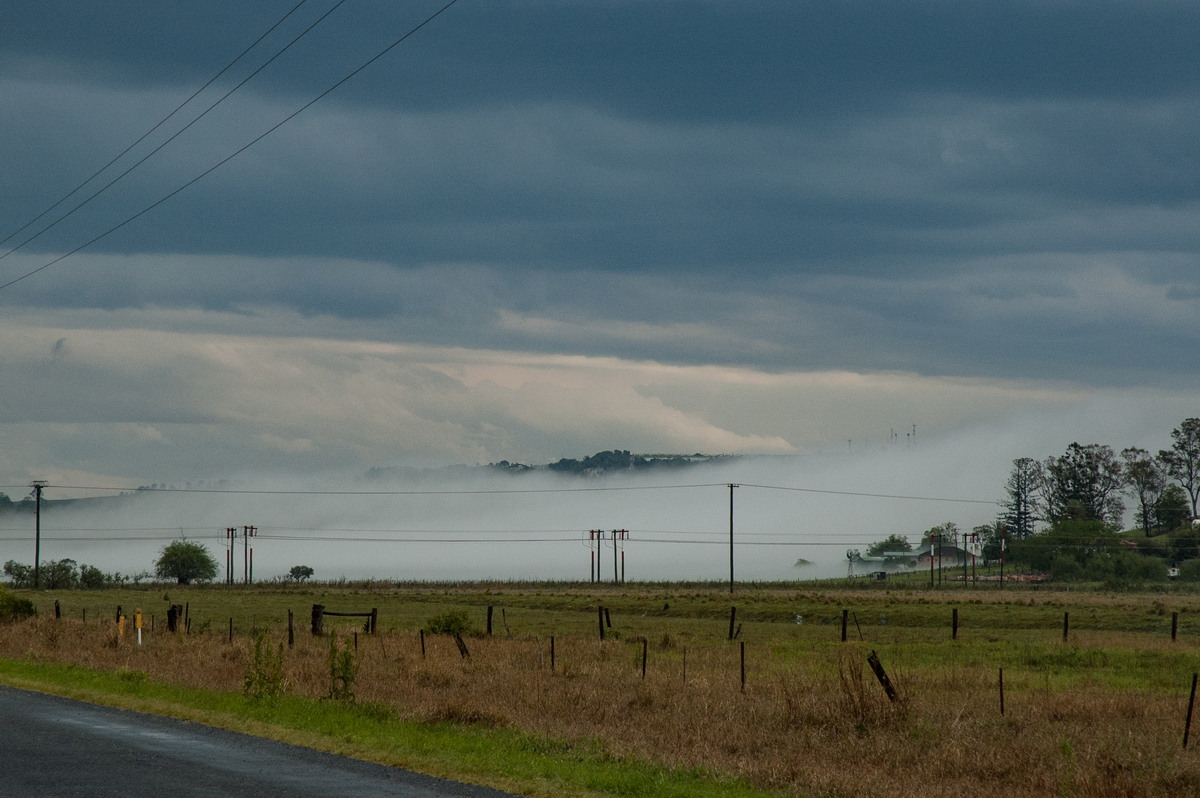 fogmist fog_mist_frost : South Lismore, NSW   9 October 2007