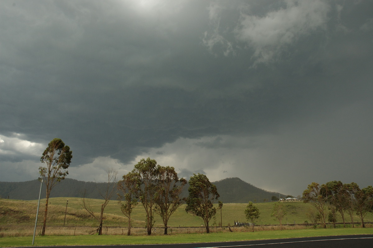 cumulonimbus thunderstorm_base : Wiangaree, NSW   12 October 2007