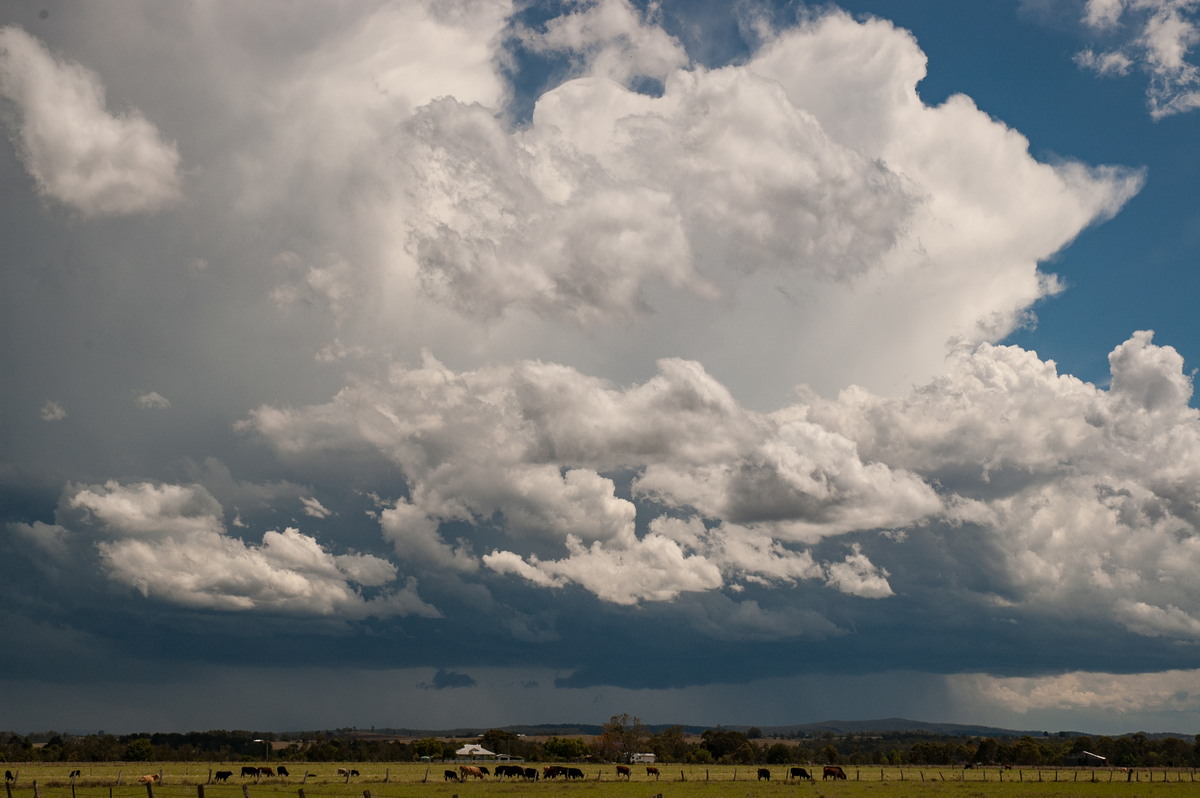 thunderstorm cumulonimbus_incus : N of Casino, NSW   26 October 2007