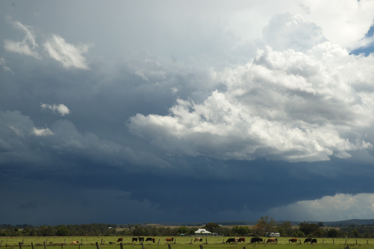 wallcloud thunderstorm_wall_cloud : N of Casino, NSW   26 October 2007