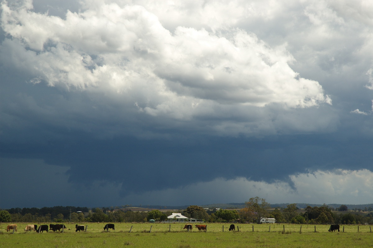 wallcloud thunderstorm_wall_cloud : N of Casino, NSW   26 October 2007