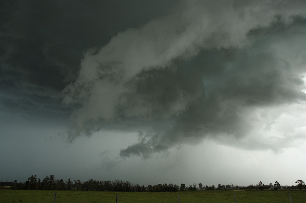 wallcloud thunderstorm_wall_cloud : E of Casino, NSW   26 October 2007