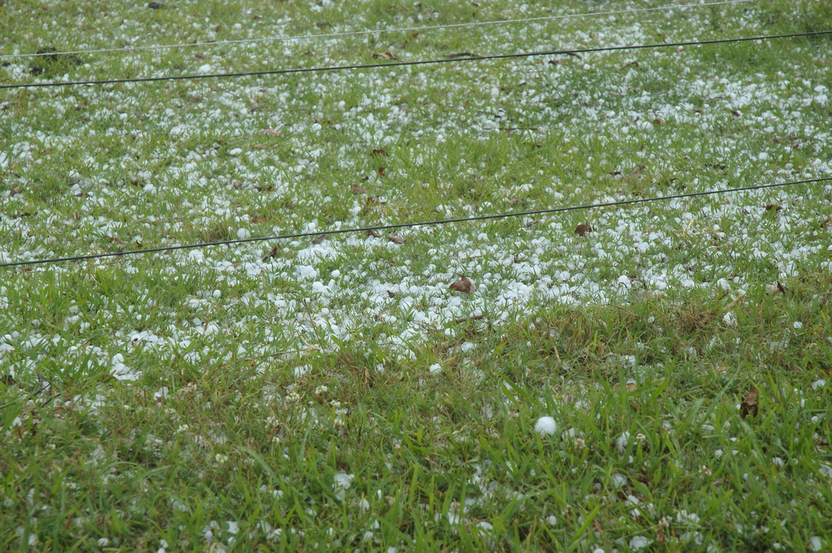 hailstones hail_stones : Tatham, NSW   26 October 2007