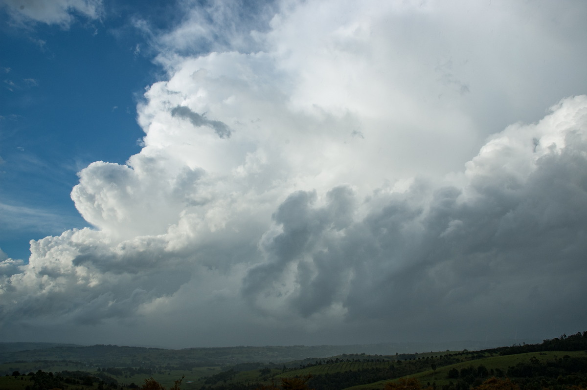 stratus stratus_cloud : McLeans Ridges, NSW   26 October 2007