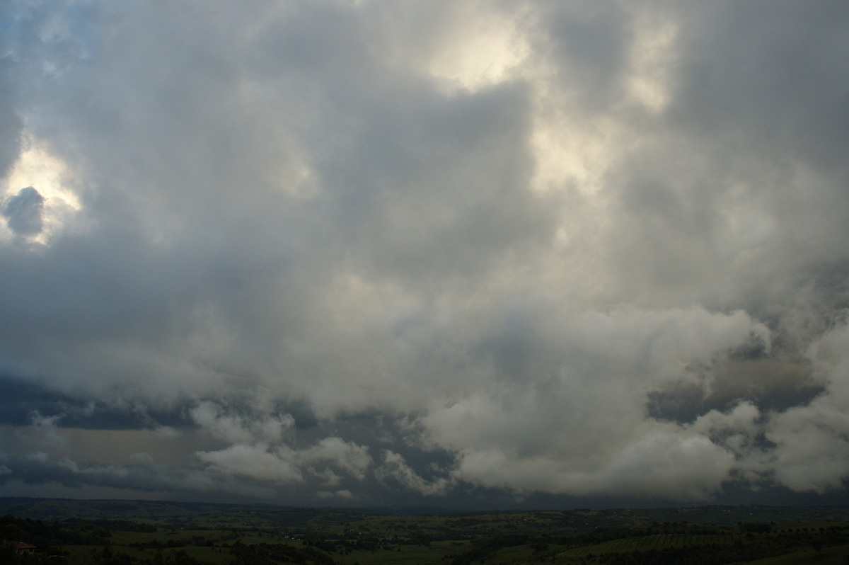 stratus stratus_cloud : McLeans Ridges, NSW   26 October 2007