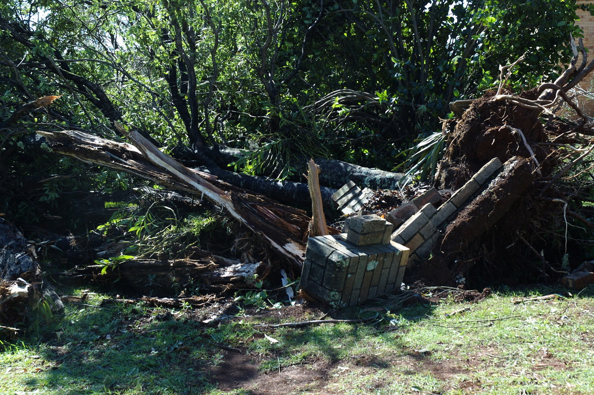 disasters storm_damage : Dunoon Tornado, NSW   27 October 2007