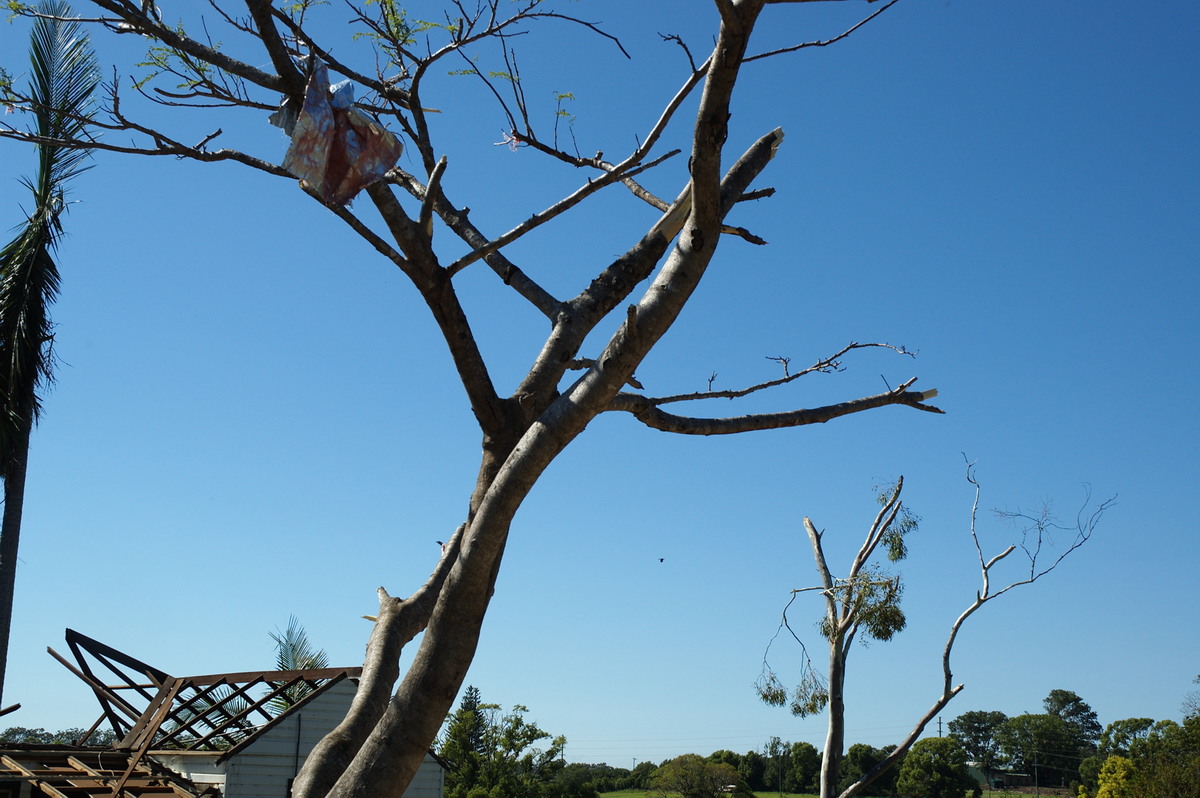 disasters storm_damage : Dunoon Tornado, NSW   27 October 2007