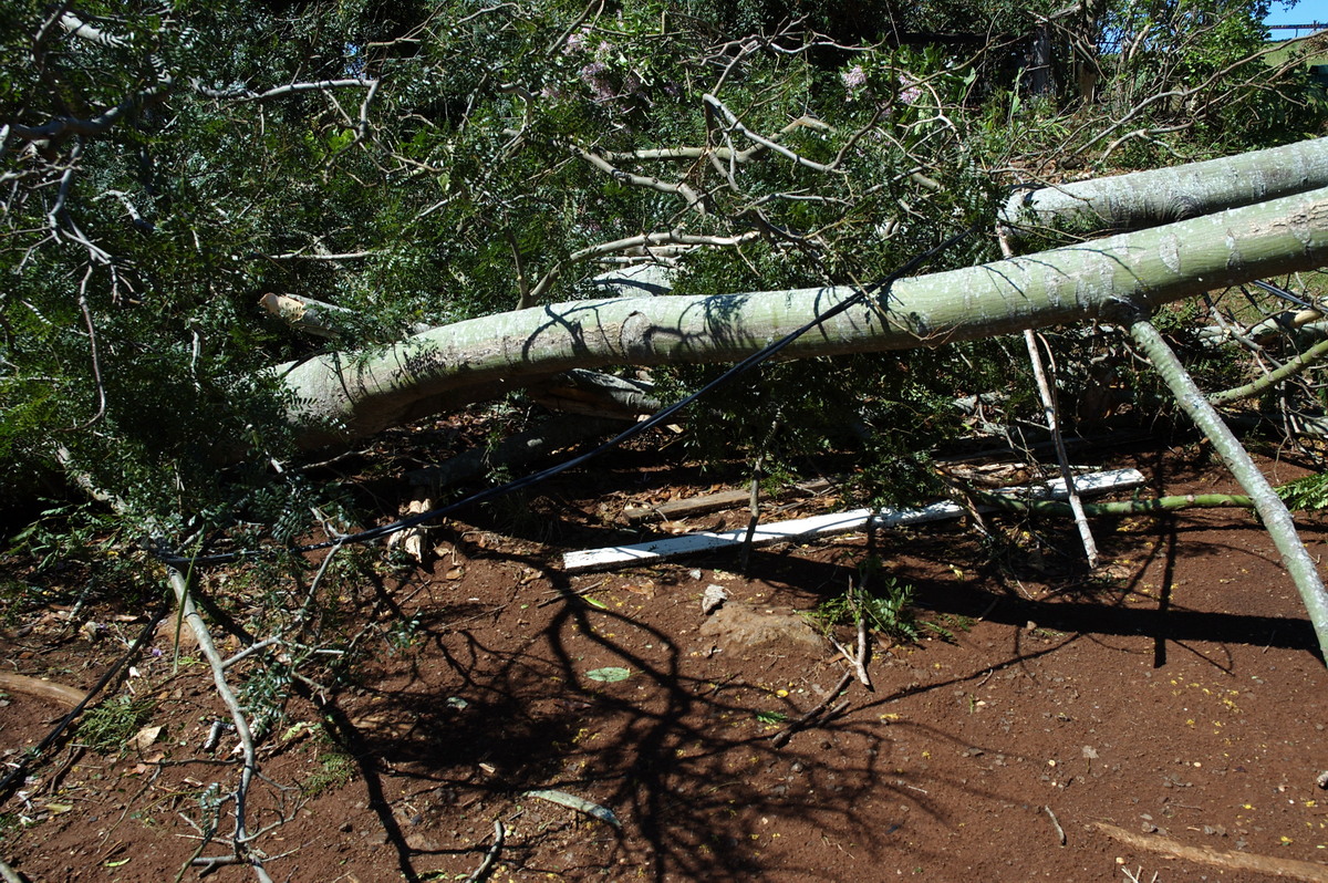 disasters storm_damage : Dunoon Tornado, NSW   27 October 2007