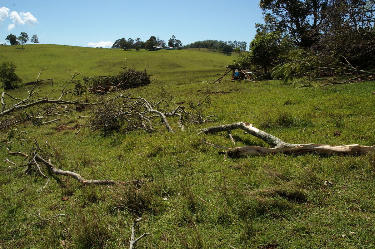 disasters storm_damage : Dunoon Tornado, NSW   27 October 2007