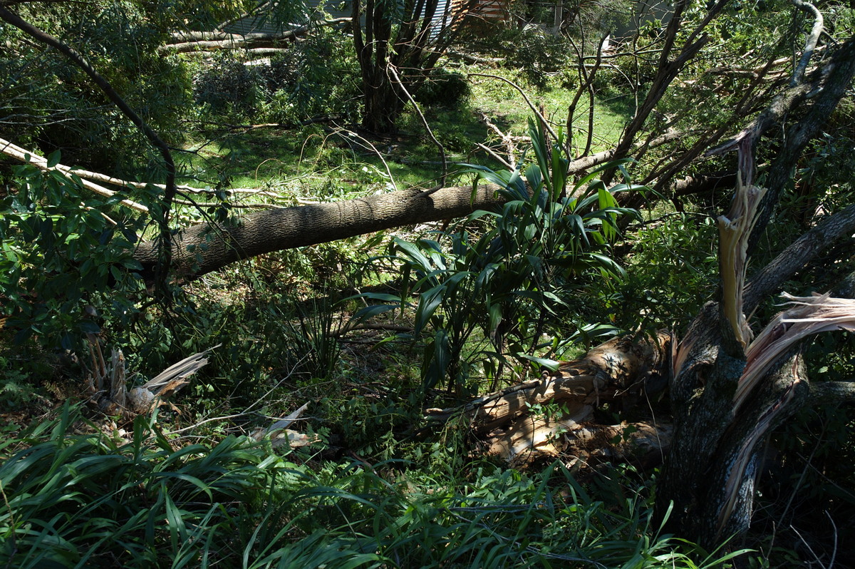 disasters storm_damage : Dunoon Tornado, NSW   27 October 2007